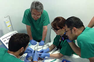 新たな手術機械の豚骨を用いたデモンストレーション